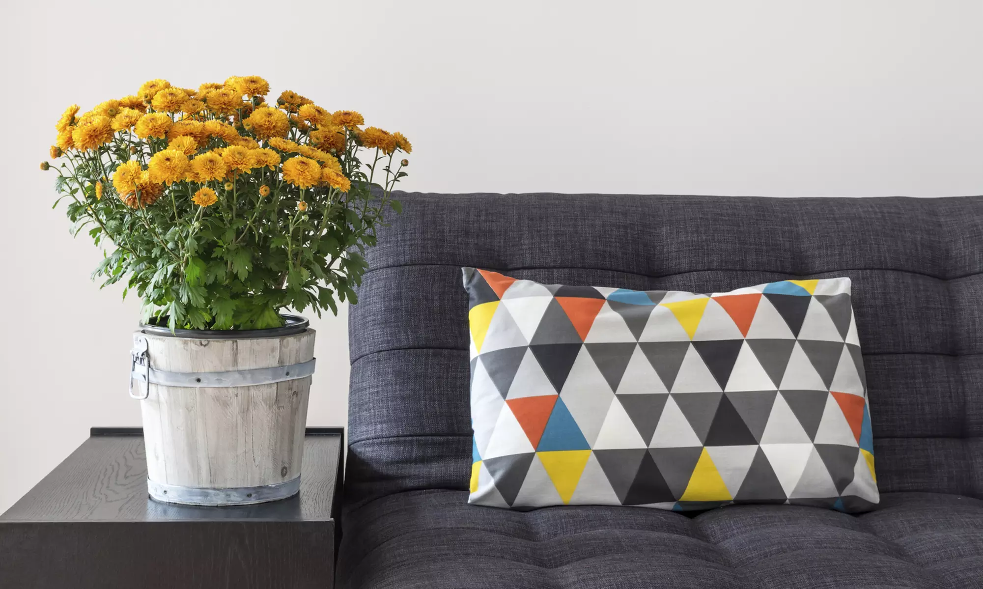 Custom Decorative Pillow Service from Bettertex Interiors (Up to 44% Off) - Primary Image
