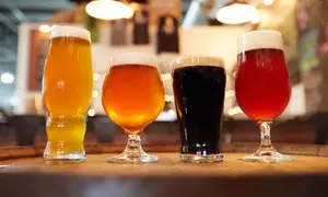 Genieße Hamburgs handgebraute Biere – Craft-Biertour für 1–4 Personen mit Tastings und spannenden Biergeschichten