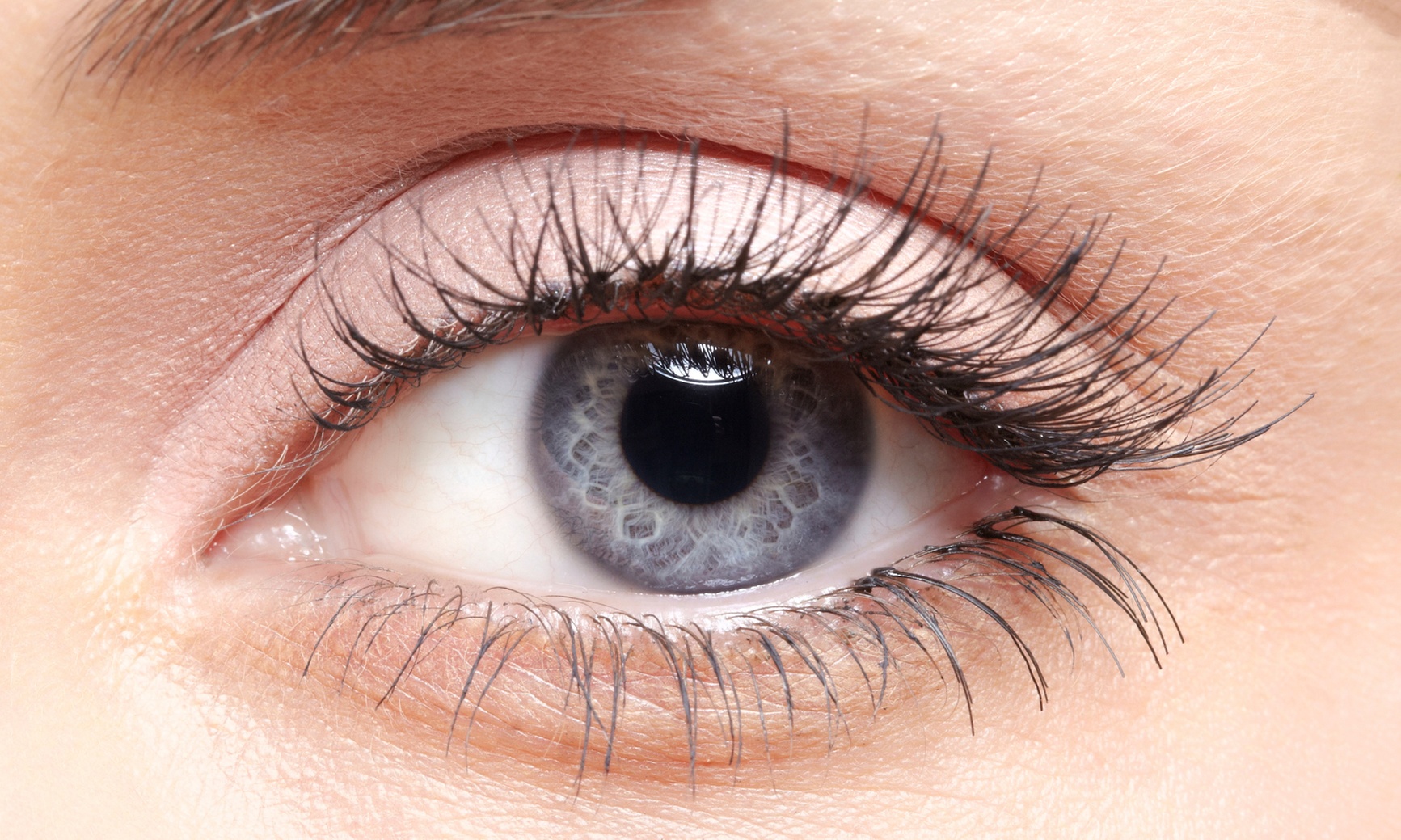Transform Your Look with One, Three or Five Eyelash Lift and Tints 