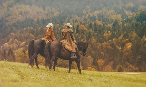 Hípica Guadalix: Paseo a caballo para adultos y niños desde 19,95 € en Hípica Guadalix