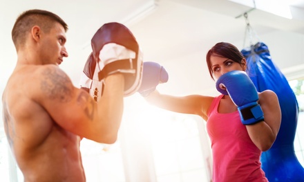 Two Weeks of Unlimited Martial Arts Classes for One Adult - Tsunami Mixed Martial Arts