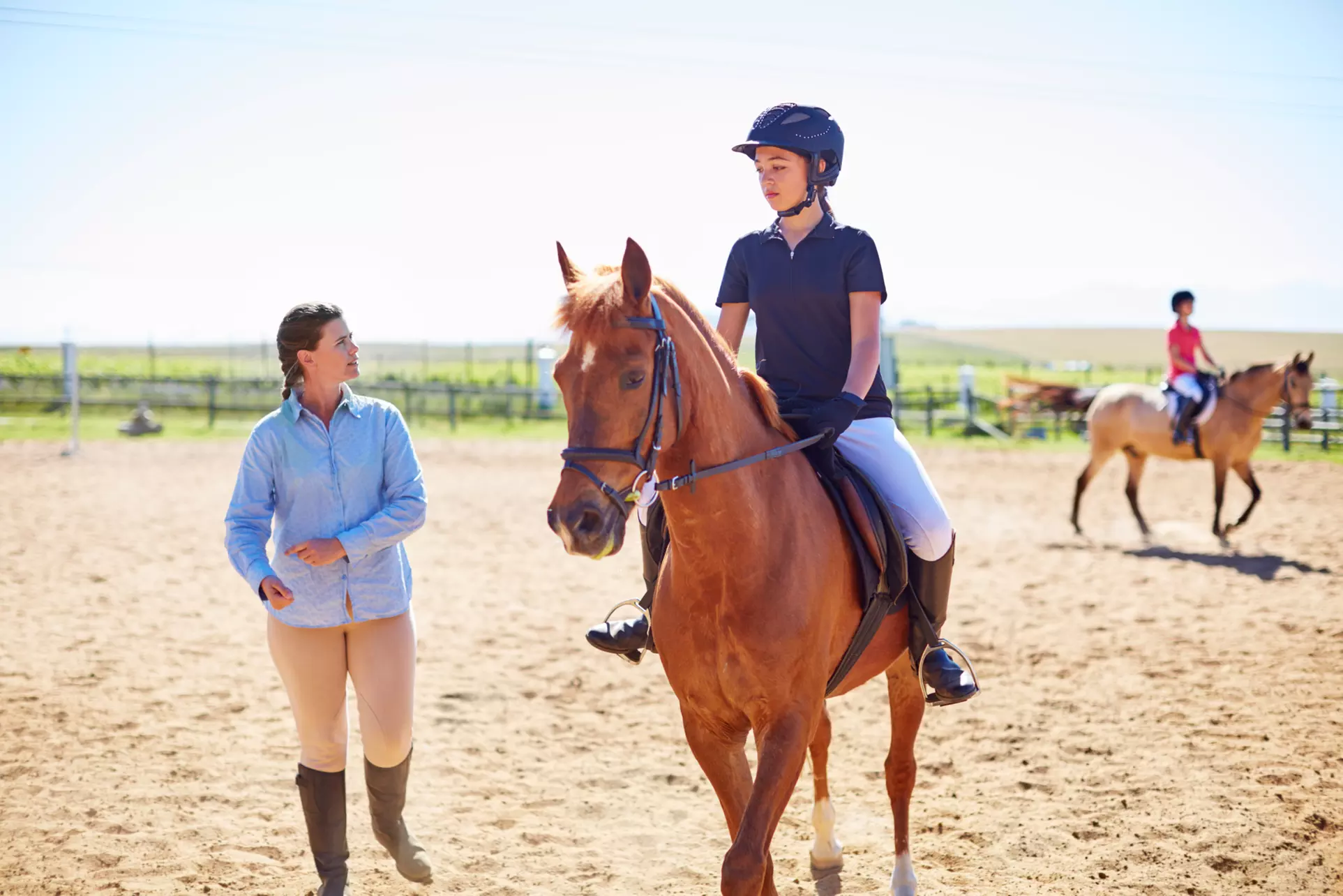 $50 for $75 Worth of Services — Blue Ridge Elite Horsemanship and Riding Academy - Primary Image