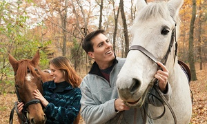 Amethyst Performance Horses Offers Comprehensive Horseback-Riding Lessons for All Skill Levels (Up to 71% Off)