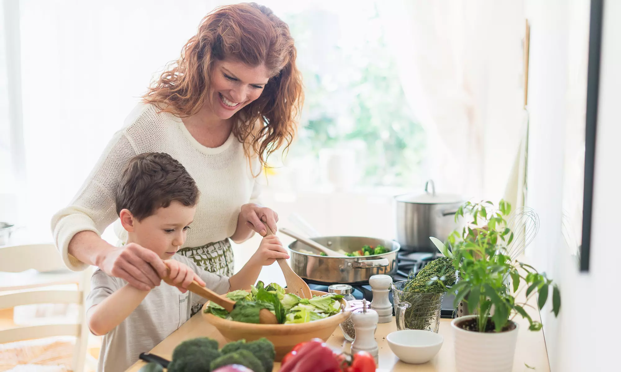 $28 for Lifetime Healthy Diet Planner Membership from Stressfree Recipes ($57 Value)  - Primary Image