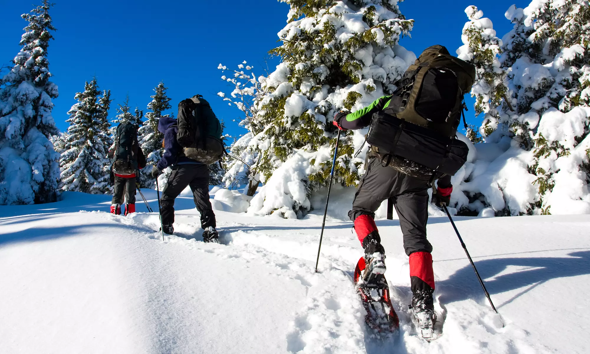 Excursión con raquetas por la nieve de 3 h para 1 o 2 personas, con hasta un 45% de descuento