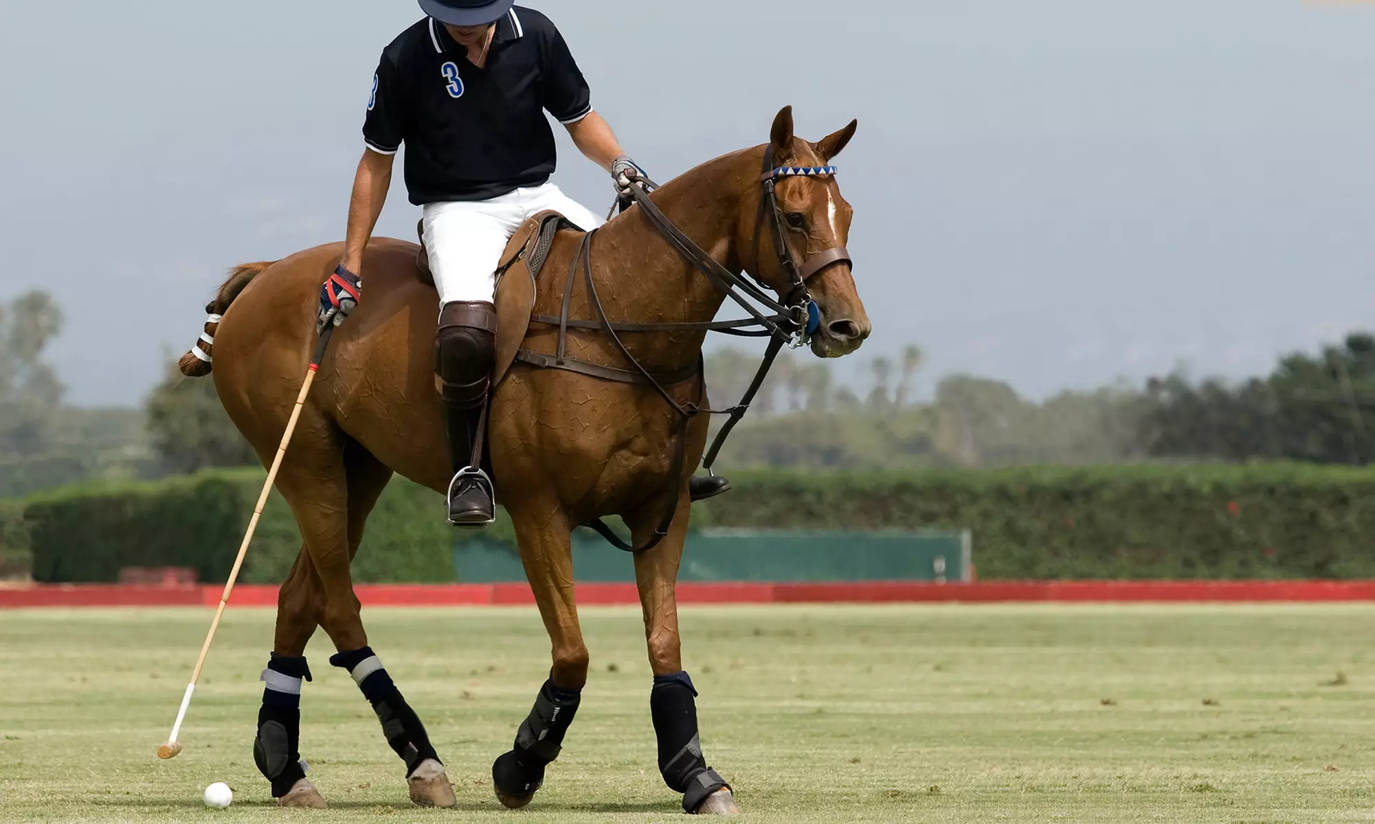 Polo Intro Lessons: Bring Friends Free or at Half Price for a Fun Start at Wheaton Polo - Primary Image