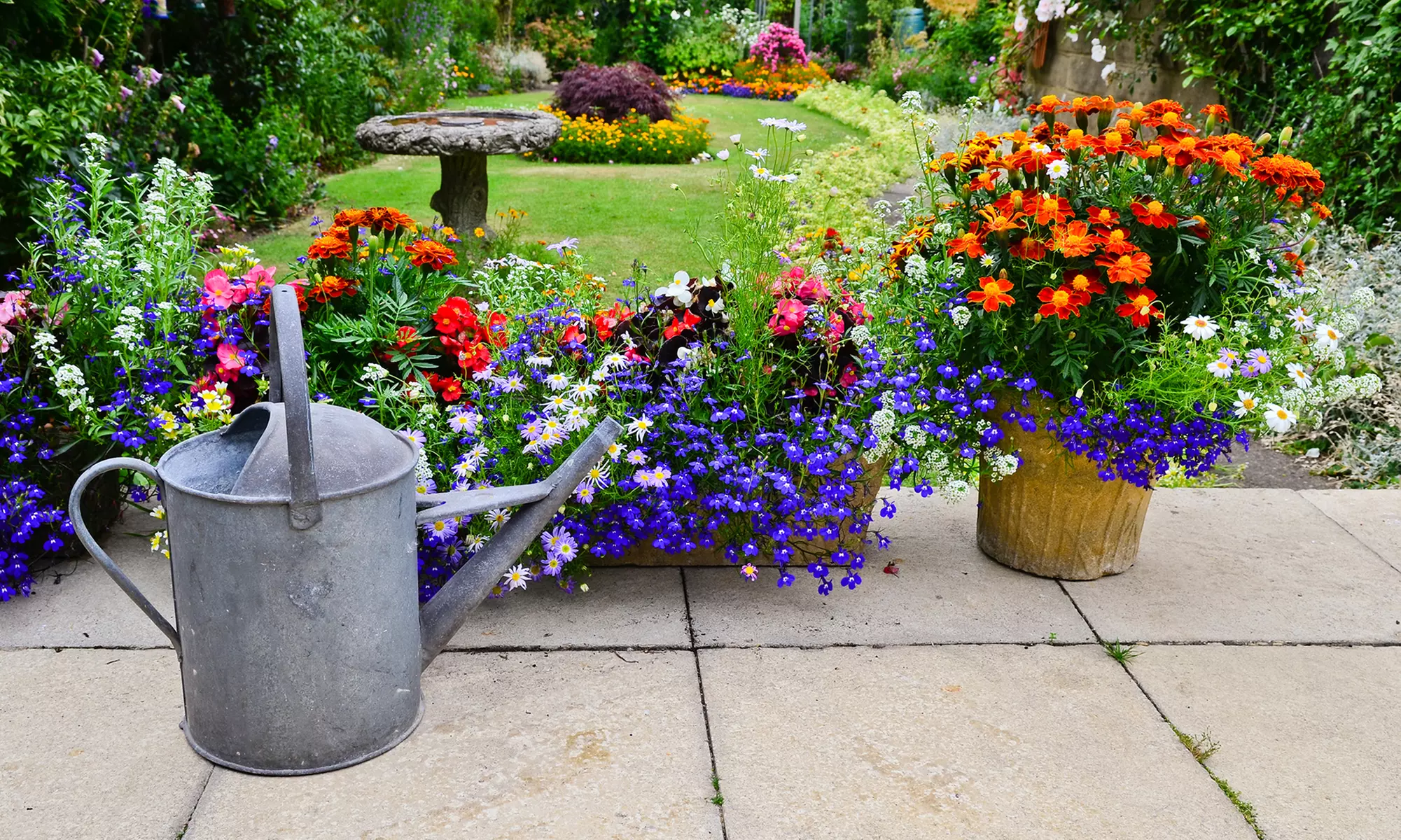 $40 or $60 Worth of Perennials, Shrubs, Trees, and Grasses at Miller Nursery in Johnston (50% Off) - Primary Image