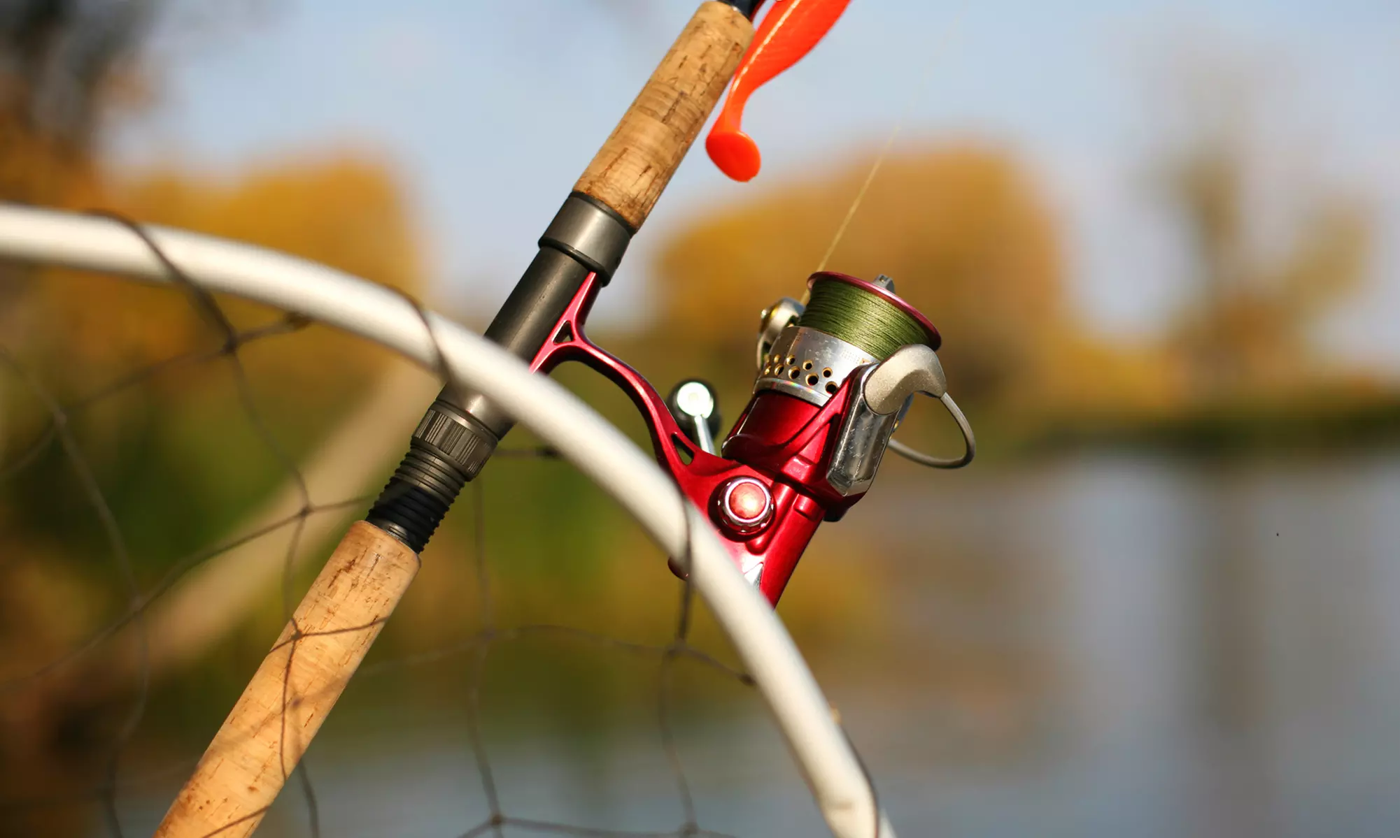 Four-Hour Deep Sea Fishing Charter for One, Two, or Four at Action Charter Service (Up to 31% Off) - Primary Image