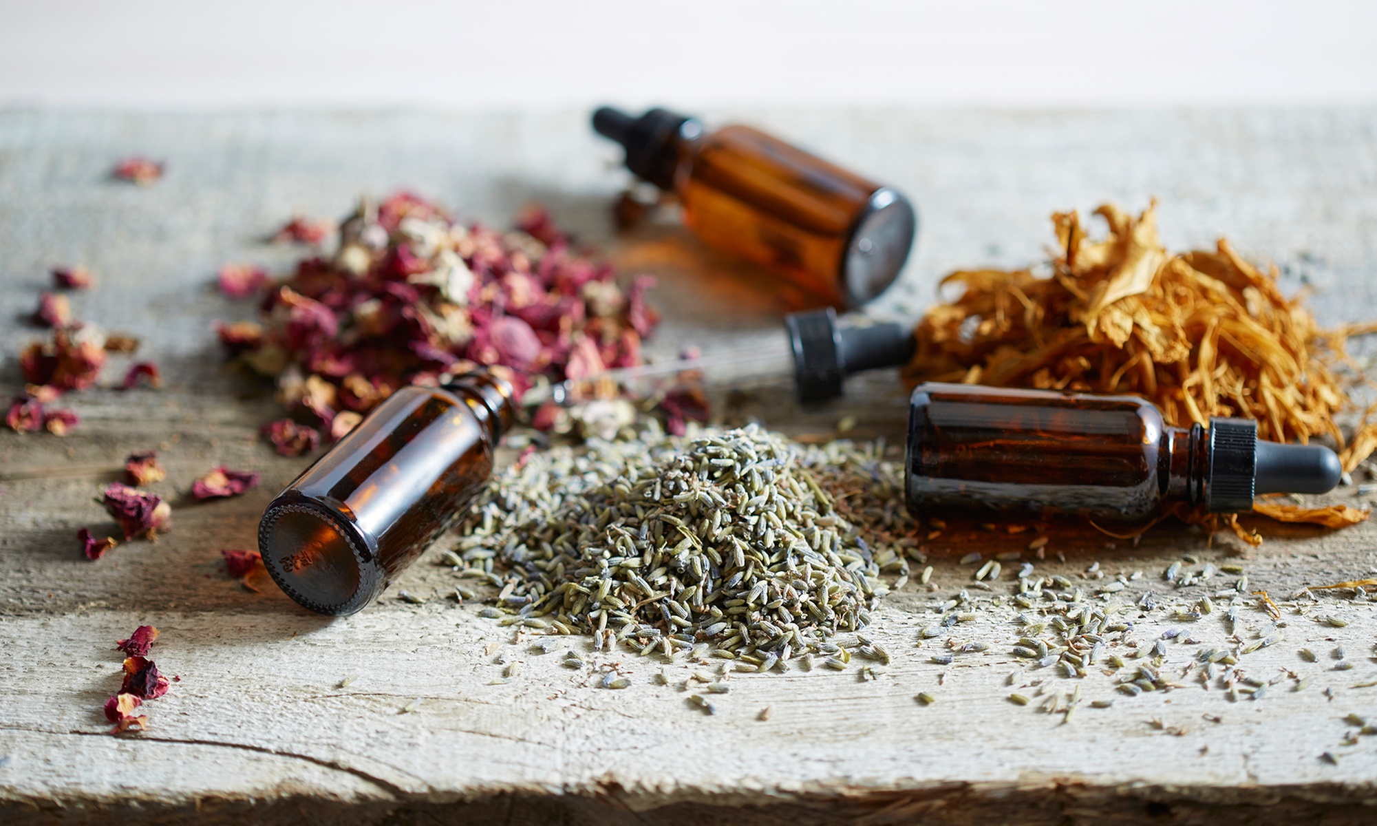 Feel Renewed with 1, 3 or 5 Sessions of Lymphatic/Vacuum Therapy