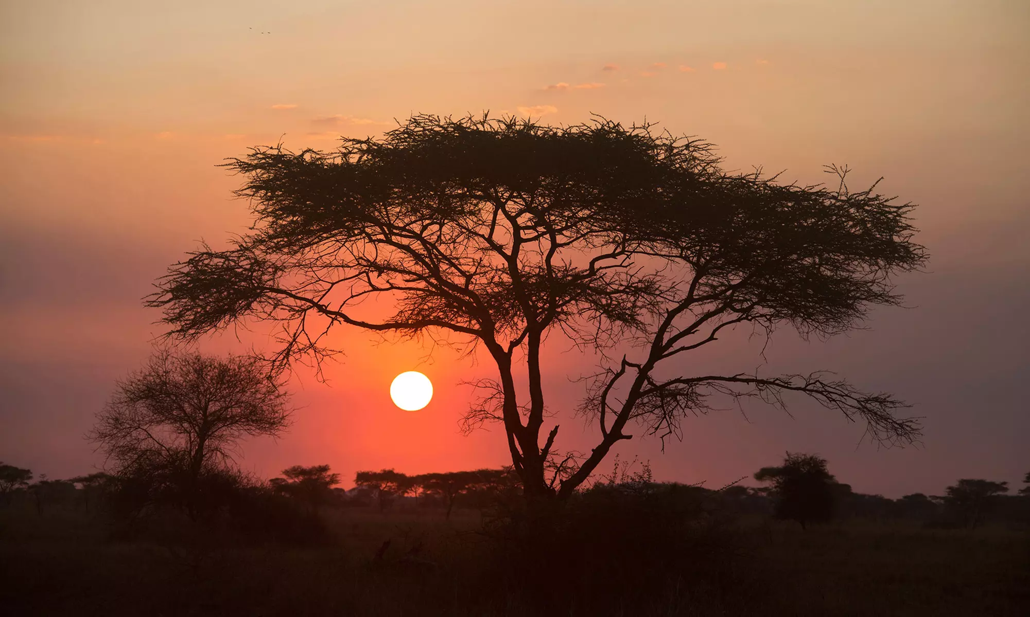 Kenya Tour. Price is per Person, Based on Two Guests per Room. Buy One Voucher per Person. - Second Medium