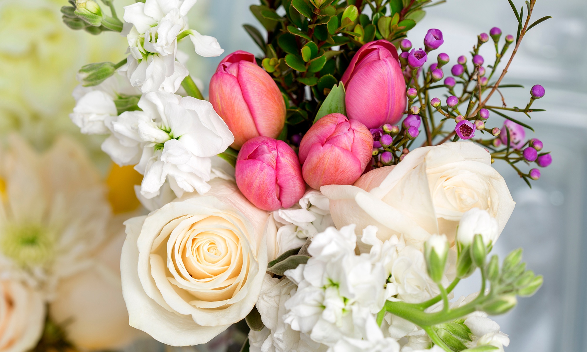 Order Fresh Flowers & Plants for Special Occasions