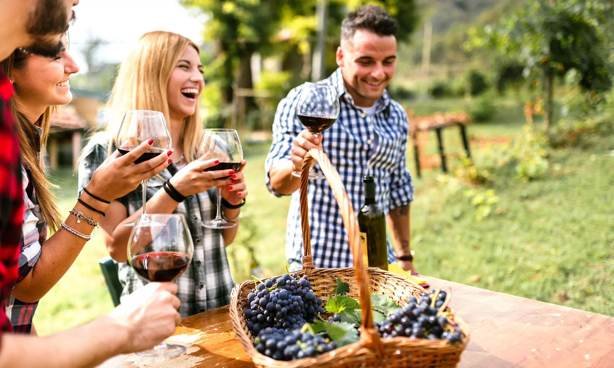 Winery Experience with Tasting and Tour for Two or Four at Crown Winery in Humboldt (Up to 32% Off) - Primary Image