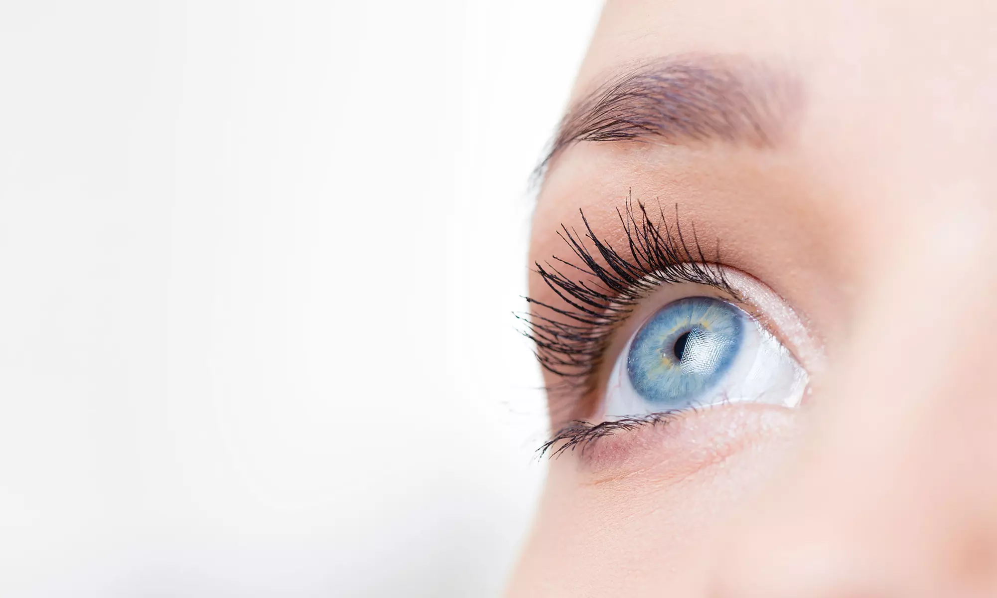 Lifting y tinte de pestañas con diseño y depilación de cejas en Savia beauty bar - Primary Image