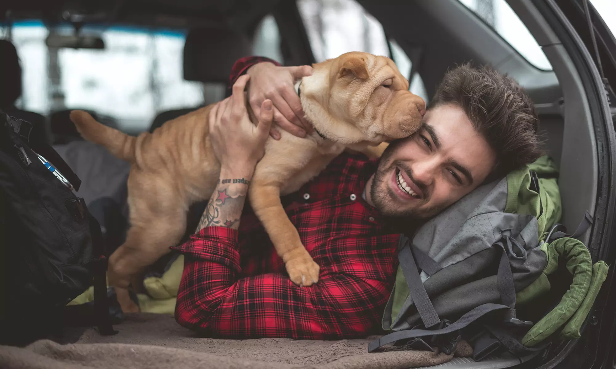 One-Month Membership for One or Two Dogs at DogClub Cafe (43% Off) - Primary Image