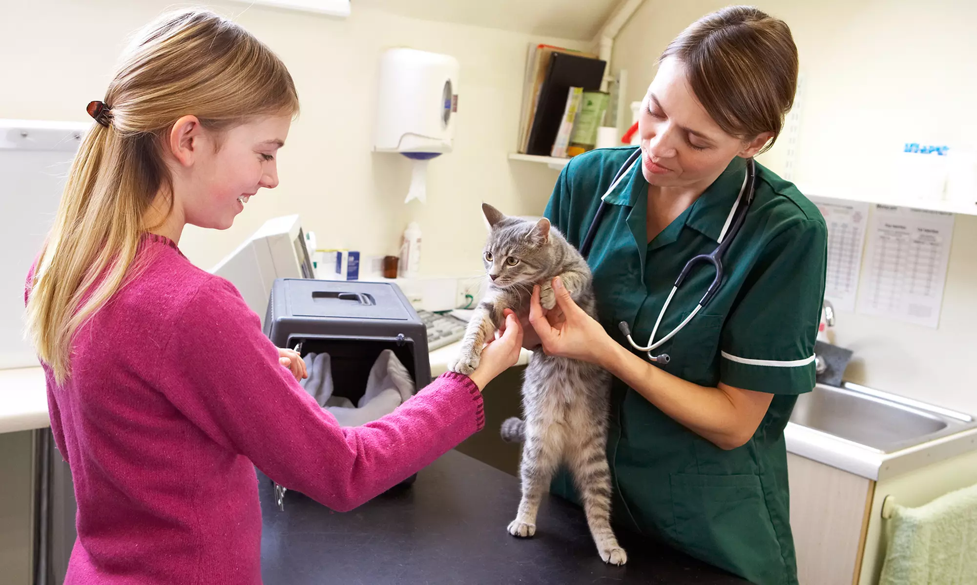 Medical Services for Pets at Pet Joy Veterinary Clinic