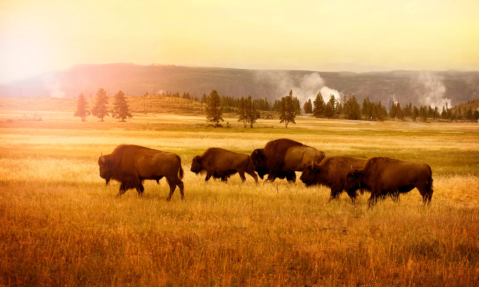 8-Day Tour of National Parks from Gate 1 Travel. Price per Person Based on Double Occupancy (Buy 1 Voucher/Person).  - Second Medium