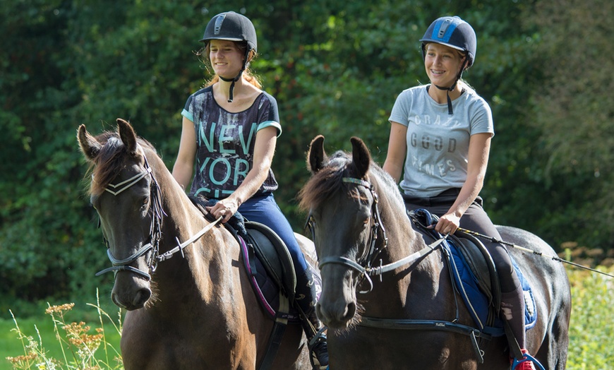 Image 1: Find Your Ride w/ Private Horseback Riding Lesson for 1, 2 or 3