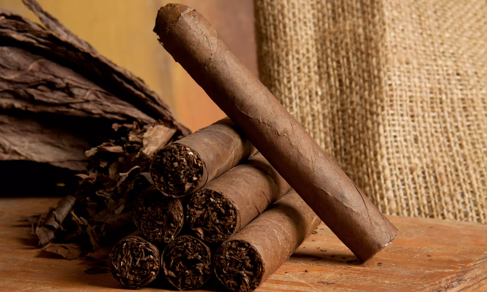 $19.99 for Five Pack of Premium Cigars at  Buffalo Cigars ($64.95 Value) - Primary Image