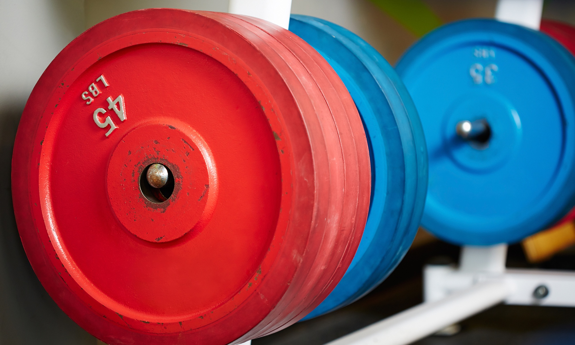 Dive Into Wellness with One, Two or Three-Month Membership