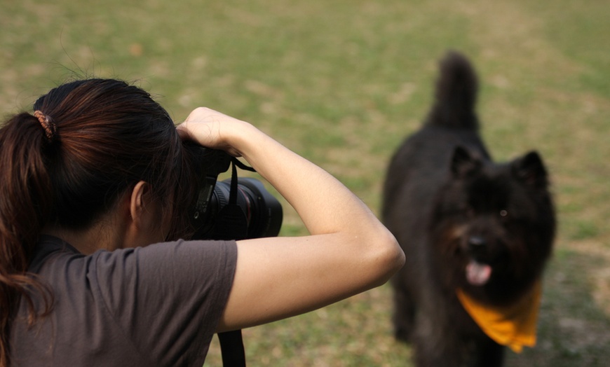 Image 1: Pet Photoshoot with Eight Prints