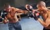 Explore up to 50% off with Goshin-Ryu Martial Arts & Fitness Studio's versatile 10 or 5 Class Pass options for a fitness boost