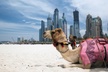 Dubai and South Africa Vacation. Price is per Person, Based on Two Guests per Room. Buy One Voucher per Person. - Second Medium