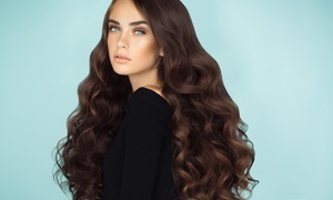 Hair Fashion Acconciature: 3 o 6 pieghe con shampoo e uno o 2 tagli al Hair Fashion Acconciature (sconto fino a 66%)
