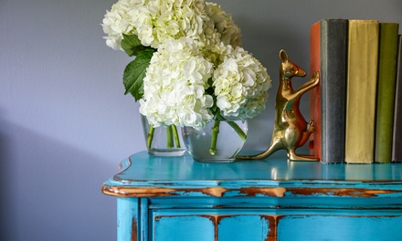 One Hour of Basic House Cleaning with Two Cleaners - YliClean