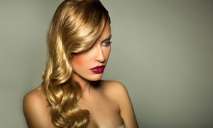 Styleicon: Cut and Finish With Conditioning, Half Head of Highlights or Full Head of Colour and More at Styleicon (Up to 60% Off)
