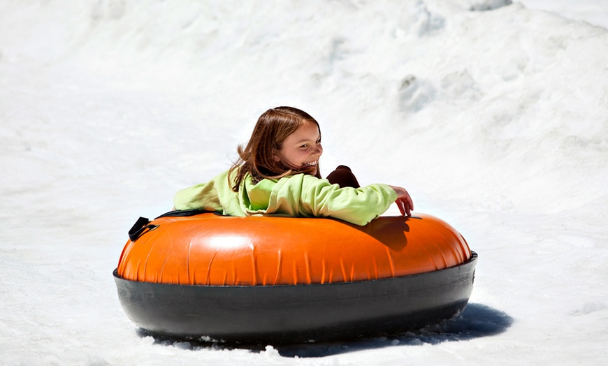 Image 1: Sno-Tubing and Toboggan Ride