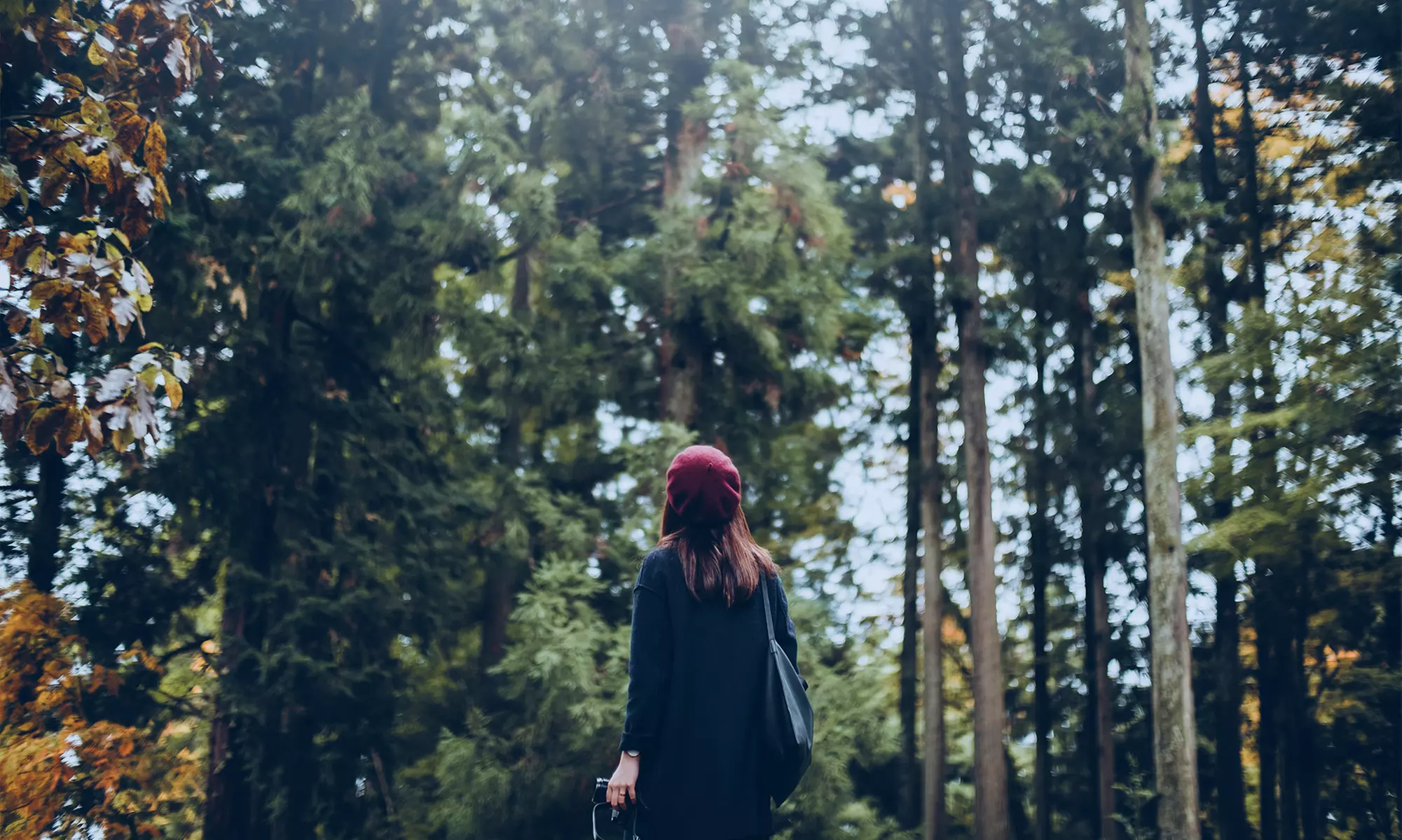 ✈ America’s Great West: A National Parks Expedition from Worldee