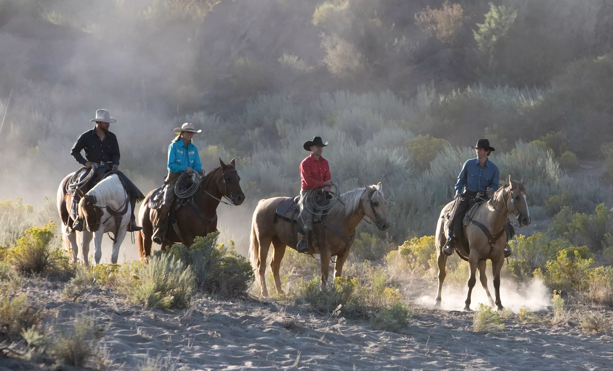 $35 for a 90-Minute Beach Horseback Ride at Sea Horse Ranch ($70 Value) - Primary Image
