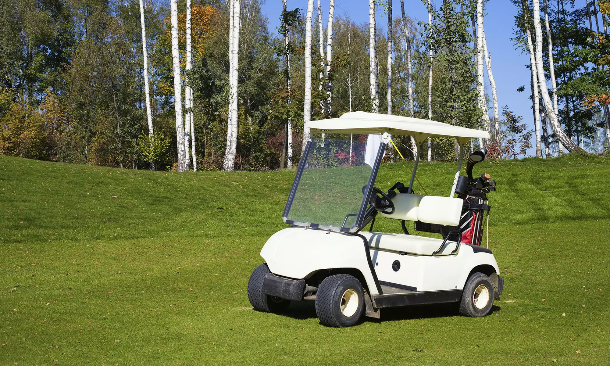 Learn Golf Cart Safety or Gain Access 2000+ Courses for Career Growth (Up to 38% Off) at Online Training Academy - Primary Image