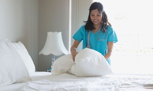 Adult Nursing Online Course