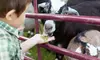 Get Admission to Petting Zoo and Round of Mini Golf for 1, 2, 4, or 6 (Up to  43% Off)