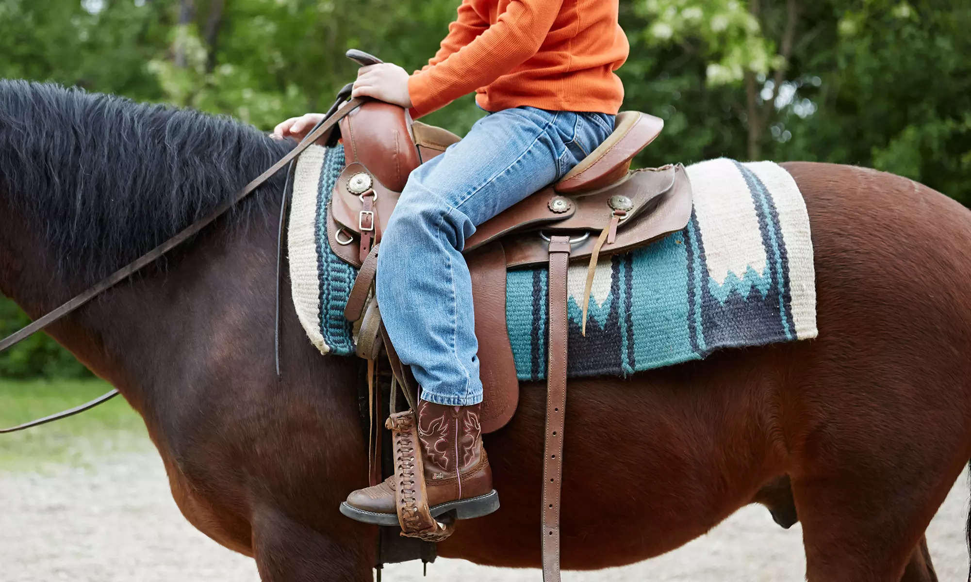 Guided 1-Hour Horse-Back Trail Ride for Two or Three, or Four from P3 Lake Louisa LLC (Up to 35% Off) - Primary Image