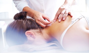 Massage Therapy Online Course