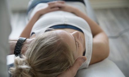 Initial consultation, X-rays, two adjustments, and 1 physical therapy session - Layton Health & Wellness