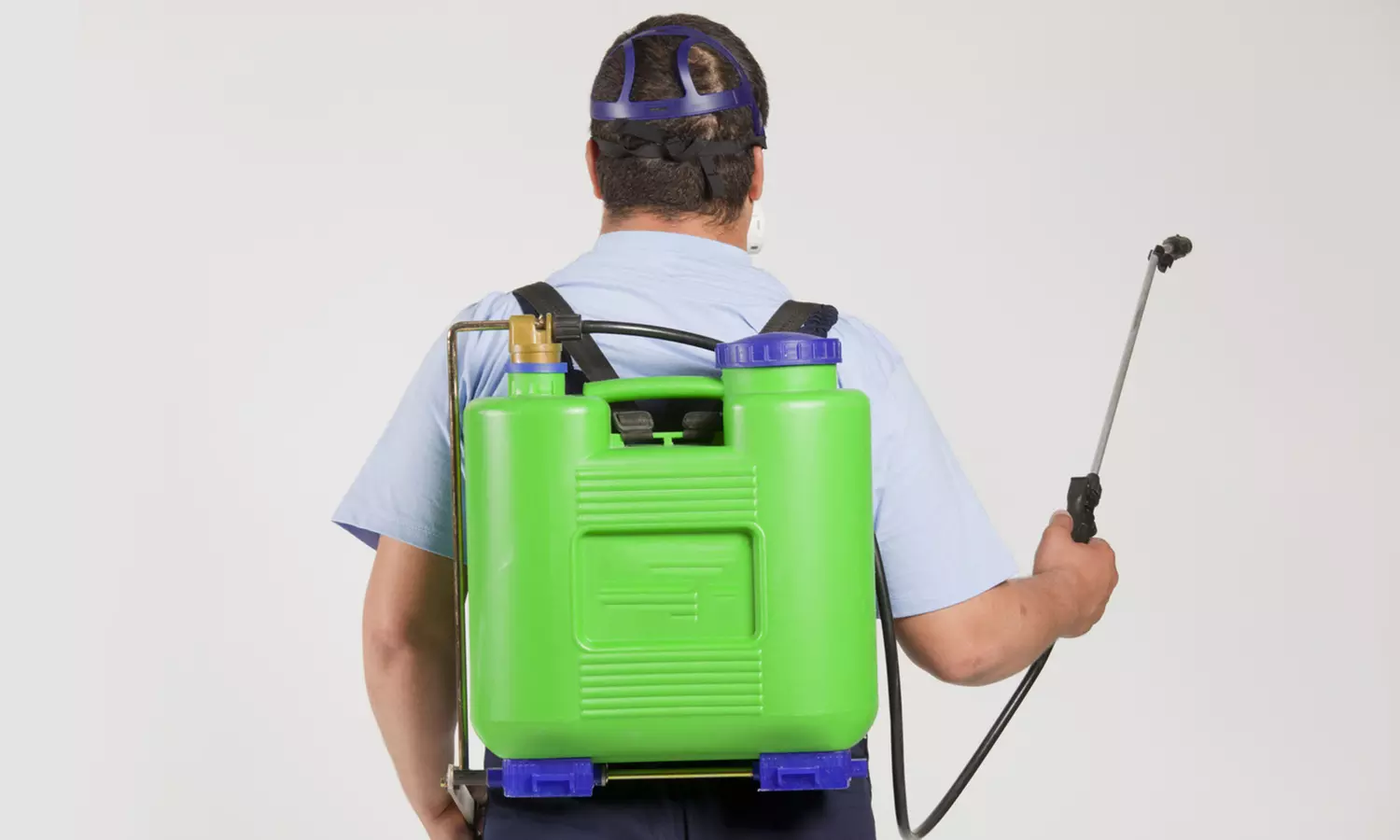 $69 for an Interior and Exterior Extermination Service from Bulwark Exterminating ($180 Value) - Primary Image