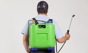 Gam Exterminating: $50 for $125 Toward Pest-Control Services from GAM Exterminating