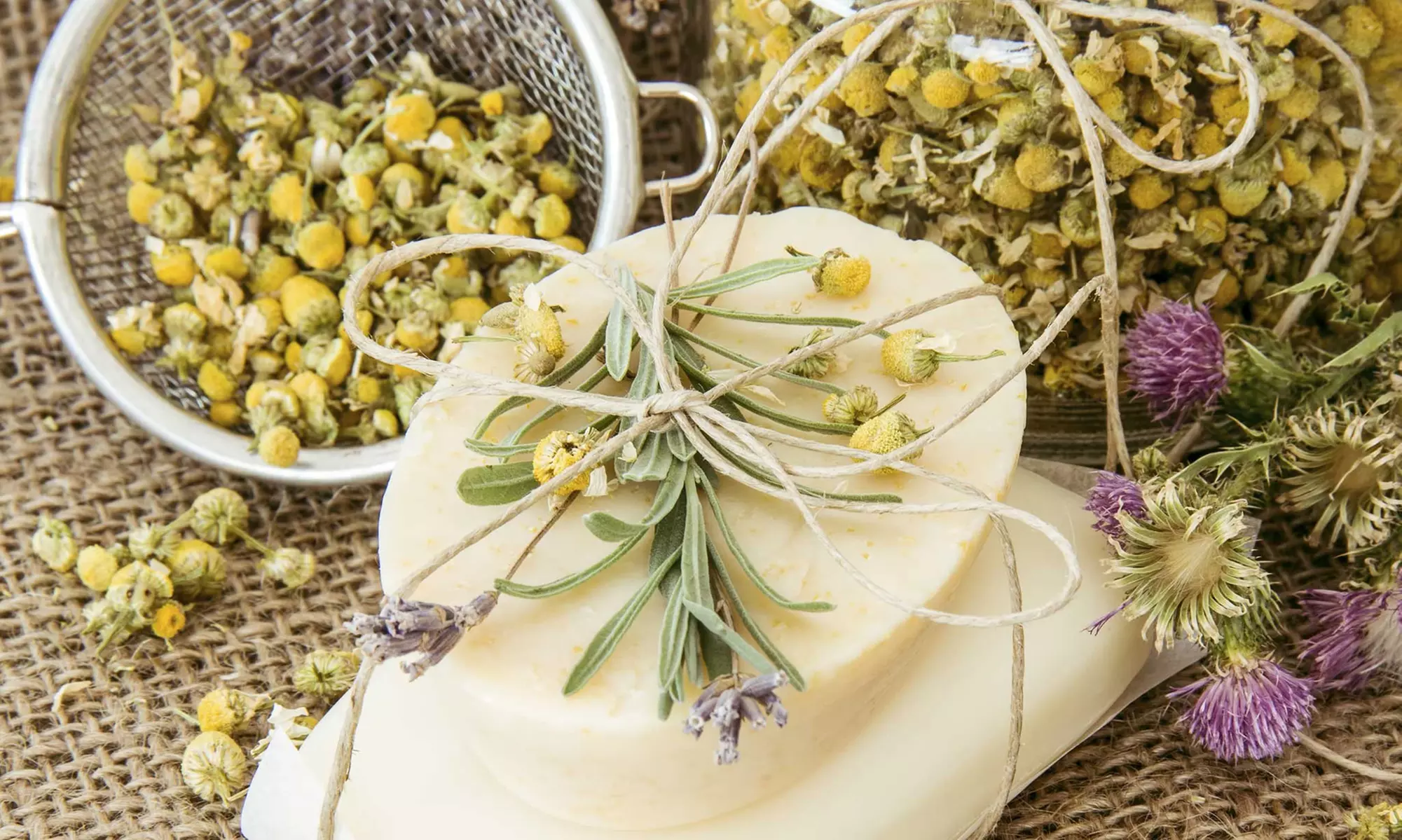 e-Curso de medicina alternativa