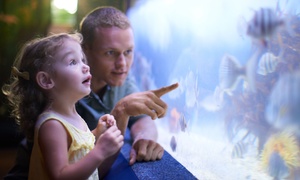 New York Aquarium Admission for One Child or Adult