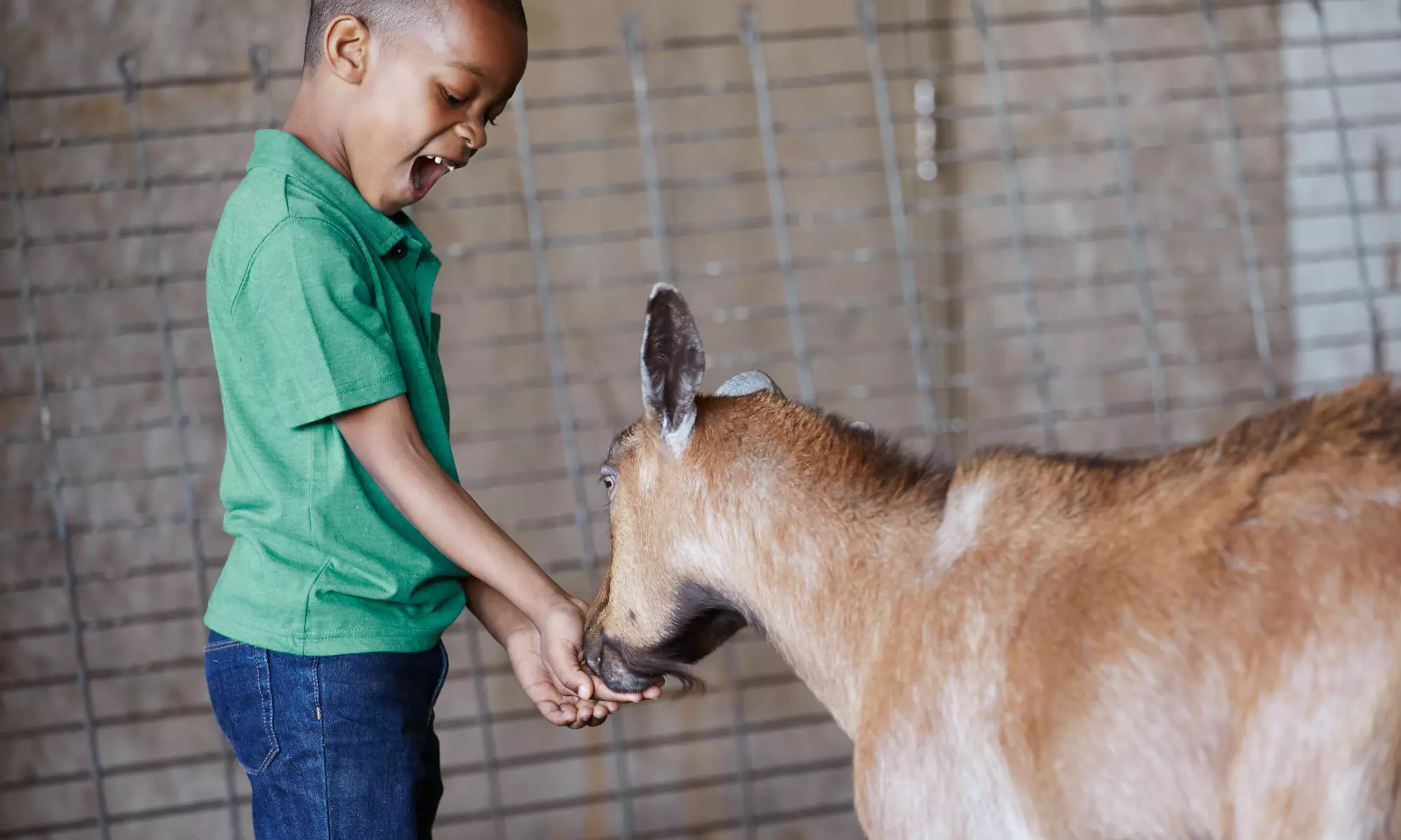 Admission, Animal Feed, and Pony Rides for Two or Family Admission at Randall Oaks Zoo (Up to 47% Off) - Primary Image