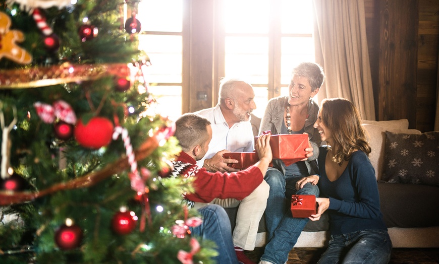 Image 1: Christmas Photoshoot for Newborn or Family at Studio Rooms