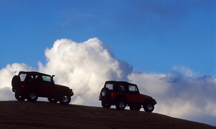 Evening Desert Safari with Dinner: Home or Hotel Pick-up by 4*4 car