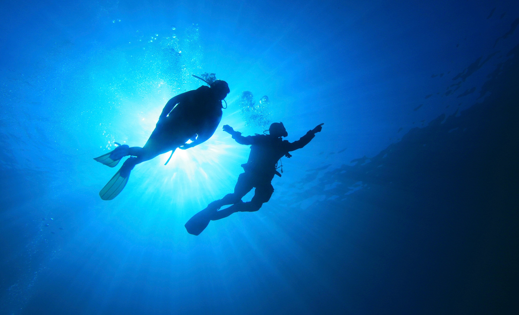 Up to 51%Off Scuba Classes