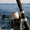 Image 7: Up to 28% Off Deep-Sea Fishing Trip from Pure Florida