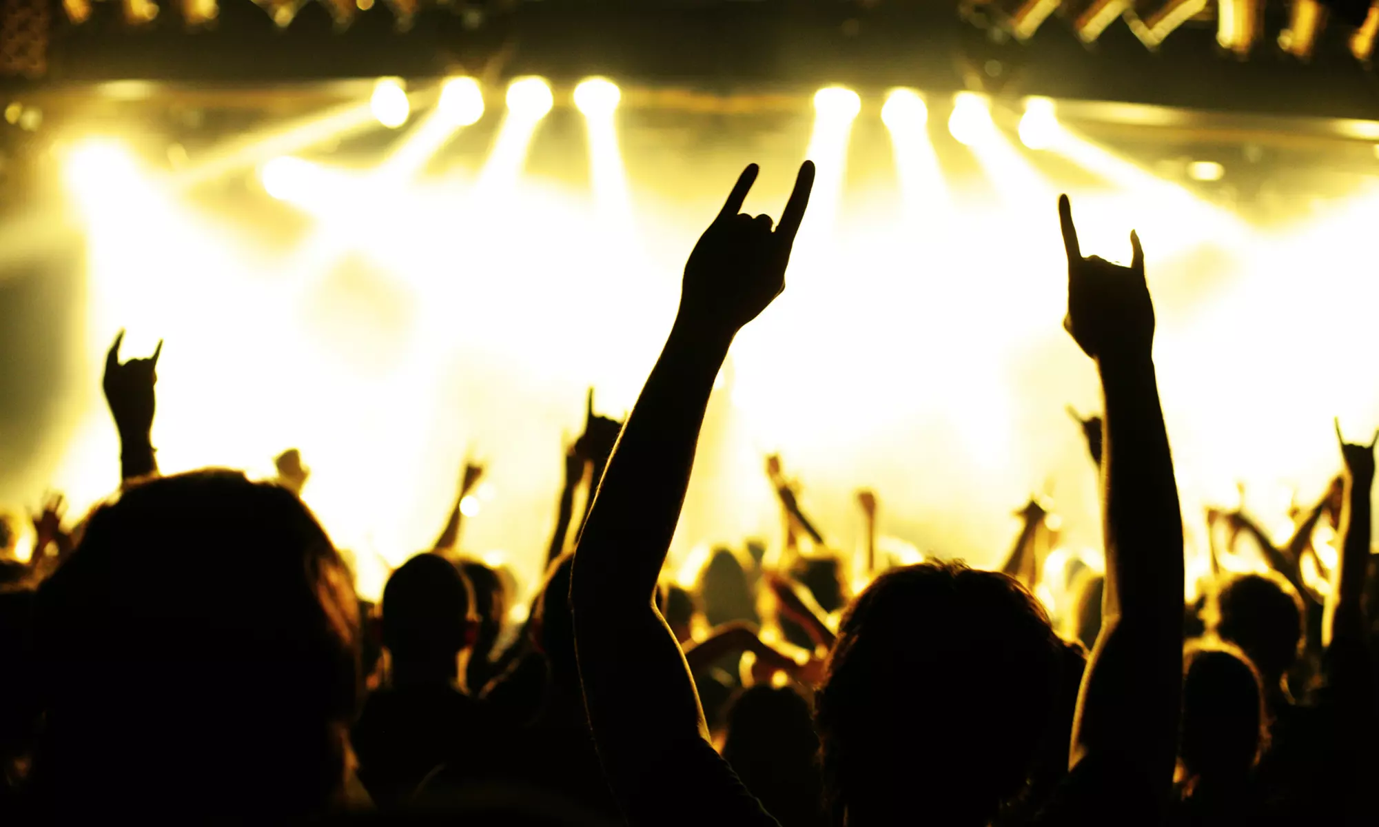 Physical Graffiti: The Led Zeppelin Tribute Band or Satinwood Legendary Songs at Trinity on Main (Up to 41% Off) - Primary Image