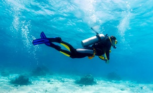 SSI Scuba Diver course