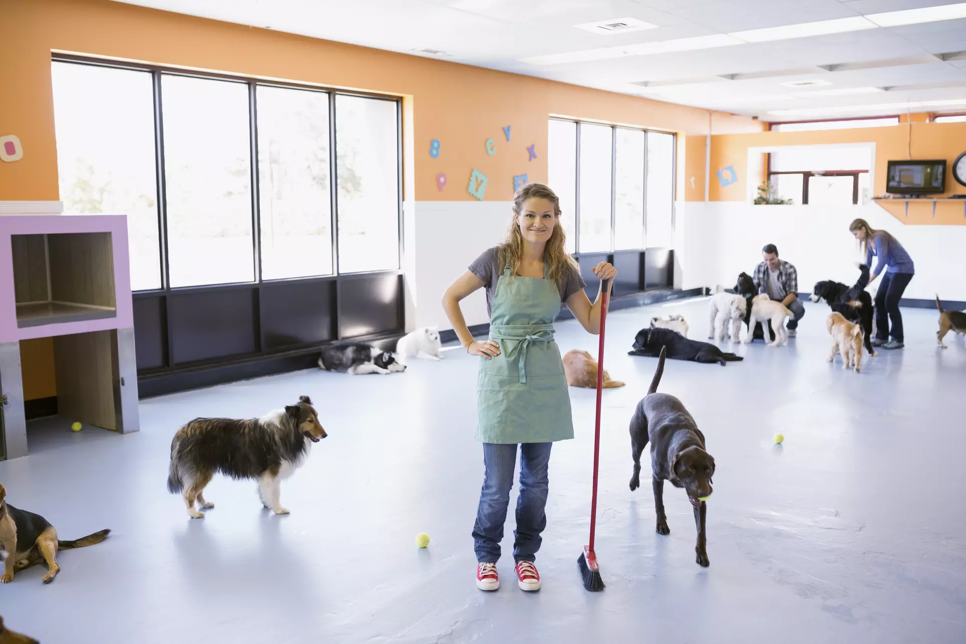 Up to 37% Off on Pet Daycare at Arfington Pet Resort - Primary Image